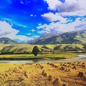 Meet your Posher, Declan